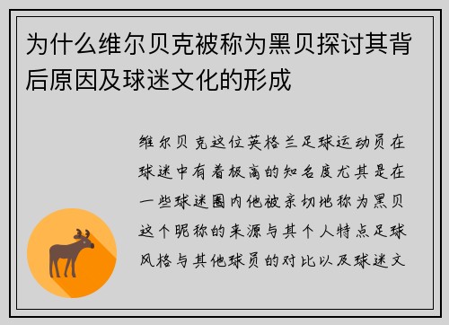 为什么维尔贝克被称为黑贝探讨其背后原因及球迷文化的形成 为什么维尔贝克被称为黑贝探讨其背后原因及球迷文化的形成